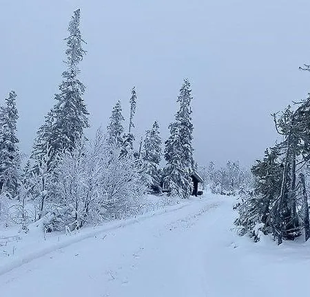 Log With Modern Style Near Vardefjell * Etnedal
